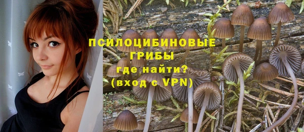 PSILOCYBIN Абинск