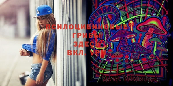 PSILOCYBIN Абинск