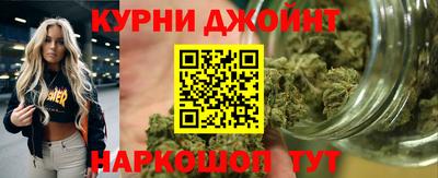 мдпв Рузаевка