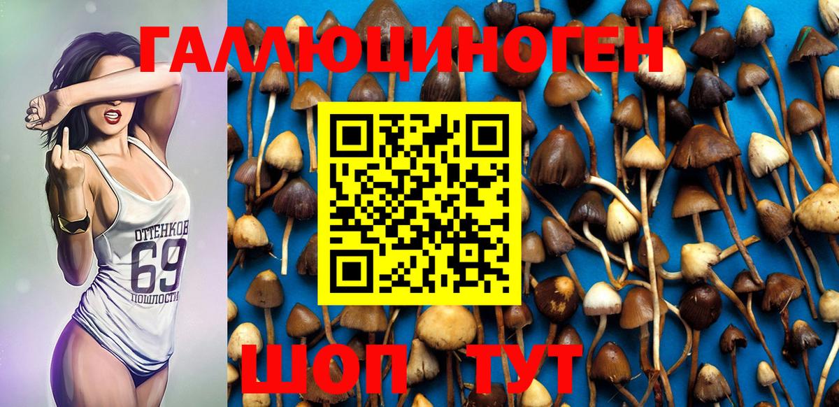 Ростов-на-Дону  Галлюциногенные грибы MAGIC MUSHROOMS  Галлюциногенные грибы GOLDEN TEACHER  Вход с VPN 